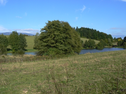 Nad rybnkem Rapprichem