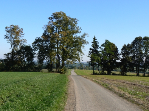 Cesta Trhovice nad Horn Brannou