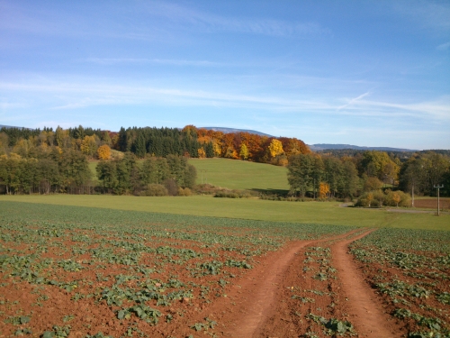 Cesta pes pole do dol Principlku