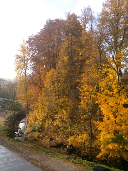 Vhled z okna naeho podniku na Sovinku