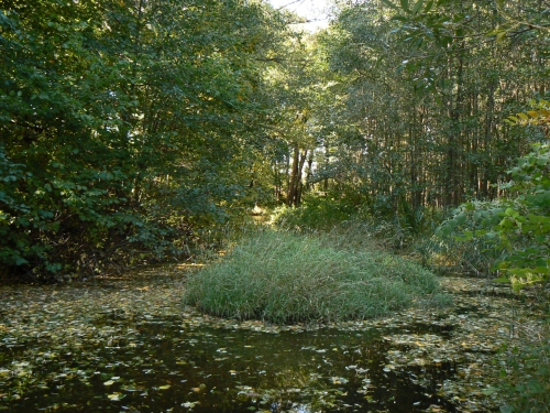 Ostrov poklad v potku Rapprichu