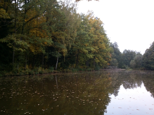 Pochmurn vypadajc rybnek Kovark