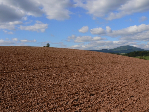 Pozad Windows XP v krsnm podzimnm dni