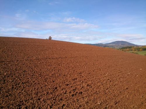 Pozad Windows XP v nejkrsnjm podzimu