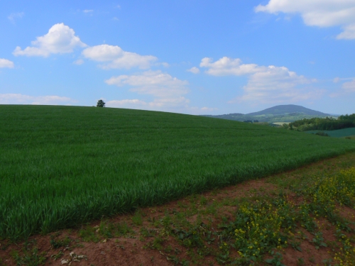 Prvn pozad Windows XP