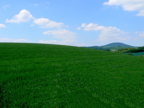 Prvn pozad Windows XP