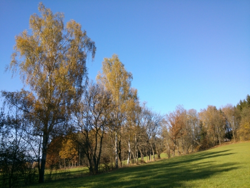 Star cesta z dol Principlku