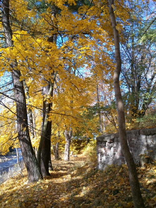 U Labe blzko autobusku ve Vrchlab