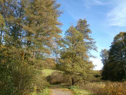 Nejkrsnj podzim v dol Principlku