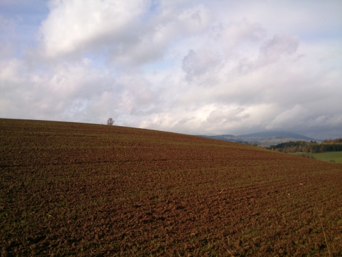 Zamraen pozad Windows XP