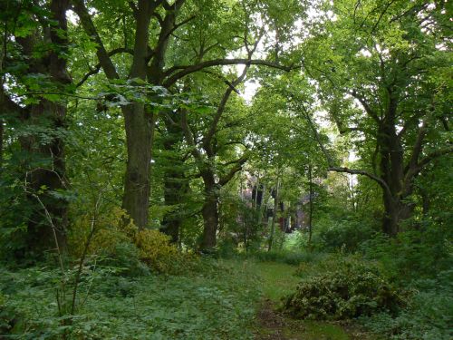 Zcenina kostela svatho Jana u Koova