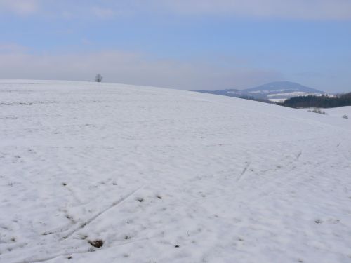 Pozad Windows XP v pedja