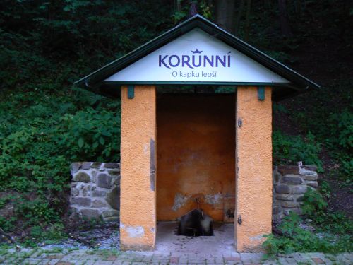 Pramen Korunn kyselky