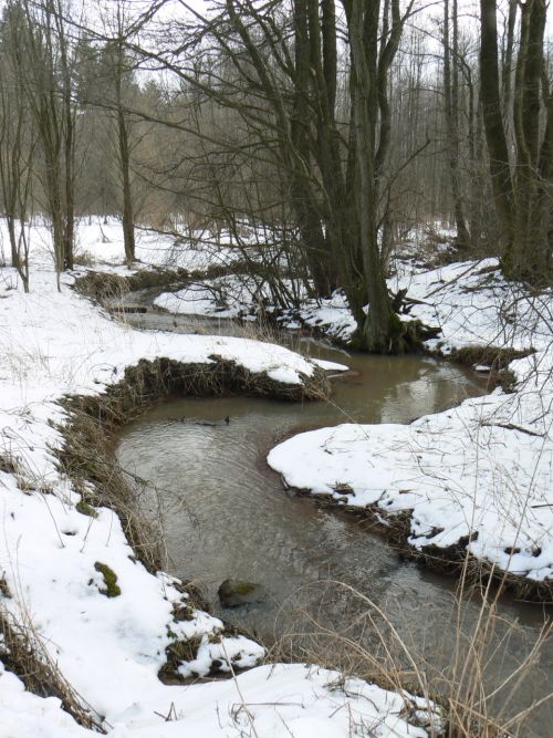 Meandry potoka Principlku