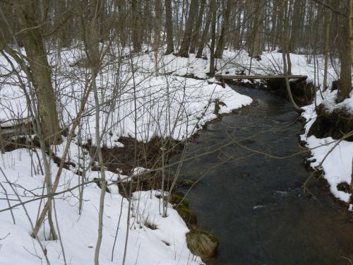 Potok Bl ped soutokem s Labem