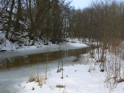 Zamrzl potok Principlek