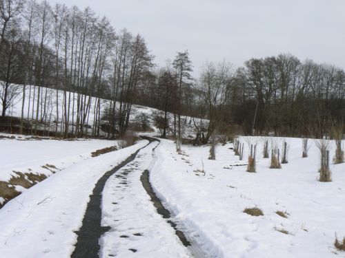 Cesta k potoku Principlku a do dol Labe
