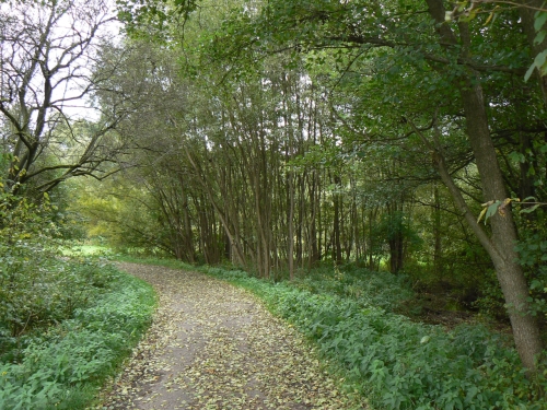 Cesta dolm Principlku