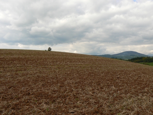 Pozad Windows XP v zamraenm dni nejkrsnjho podzimu