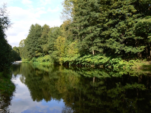 Pohled proti proudu Labe