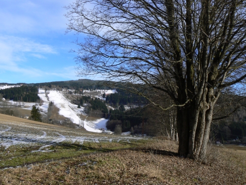 Vhled do dol potoka Cedronu