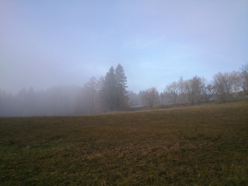 Rozhran mlhy a slunka