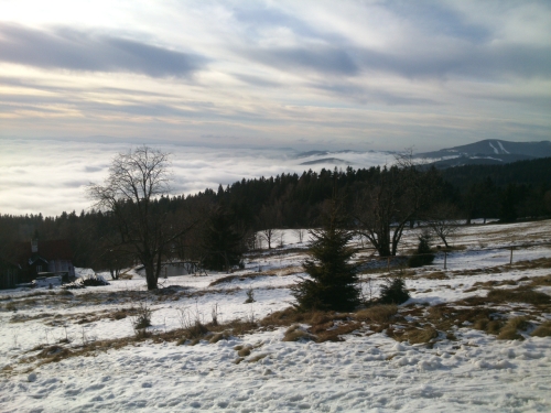 Stromy a mraky nad Vrchlabm