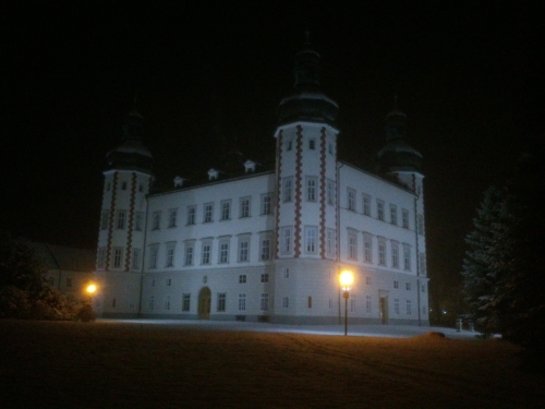 Zmek v prvnm zimnm veeru