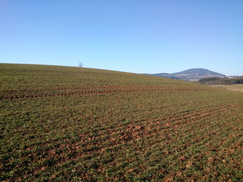 Jarn pozad Windows XP