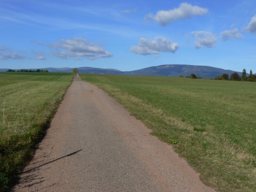Cesta po zruen erven znace z Hostinnho do Janskch Lzn na poho mezi Prosenm a Arnultovicemi