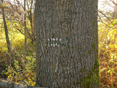 Zbytek zruen zelen znaky blzko Msnho dol