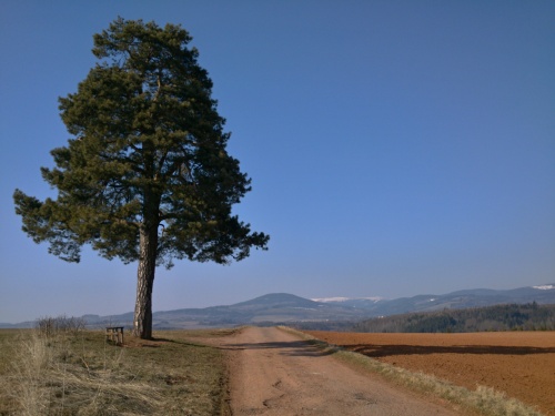 Krlovna Podkrkono s alm a Kotlem