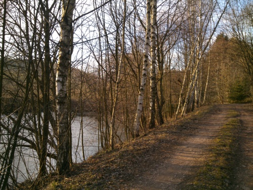 Cesta dolm Bohdaneskho potoka