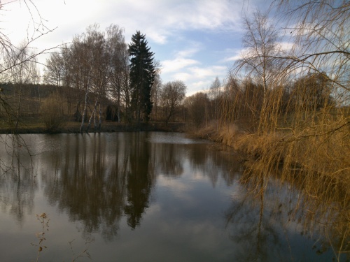 První z rybníčků v údolí Bohdanečského potoka