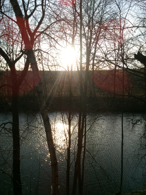 Zpad slunce nad rybnkem