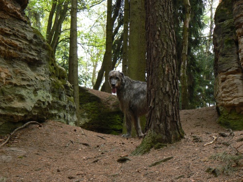 Obrnce hradu Kozlova