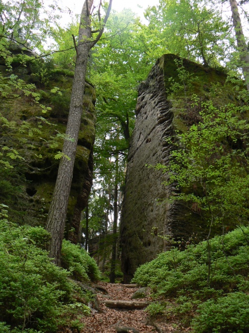 Skaln brna na Kozlov