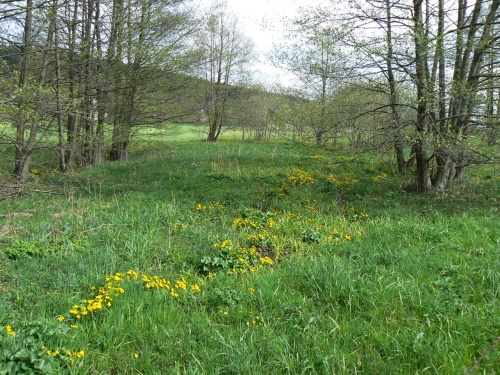 Blatouchy podl potku