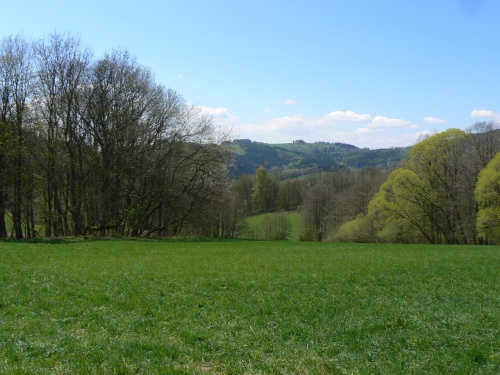 Jarn paleta odstn zelen