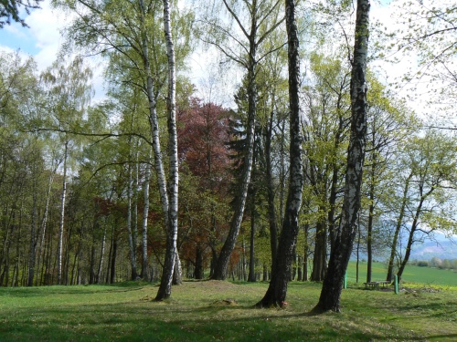 Msto, kde bval tanen parket