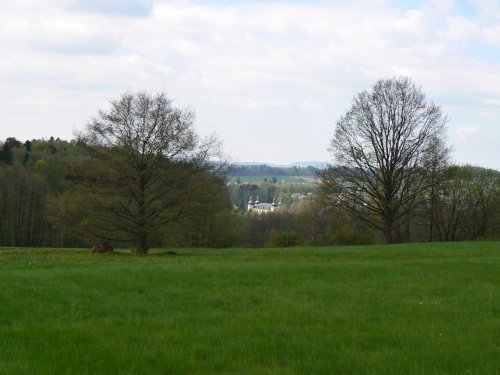 Zmek z louky nad Starm parkem