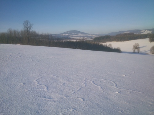 Pohled z Annina vrchu na al