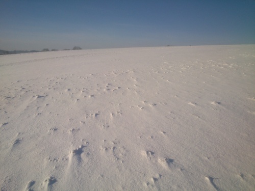 Louka na bo Annina vrchu