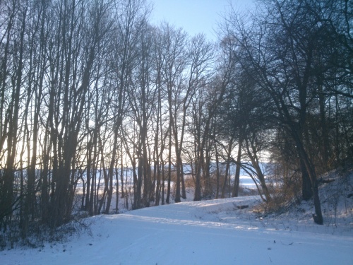 Je to ten obrzek, co Anna na Facebooku poznala a radostn ho komentovala Tu bolo BAF. 