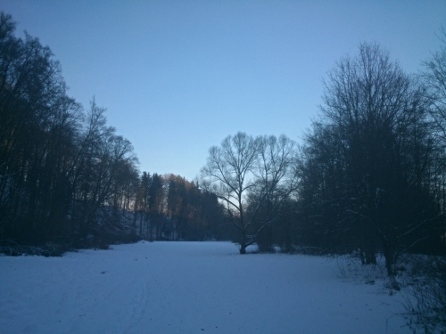 Cesta na louku U Salae