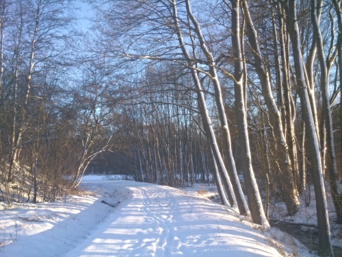 Cesta dolm Principlku