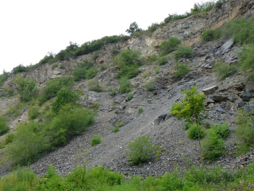 Oputn lom v Tichm dol