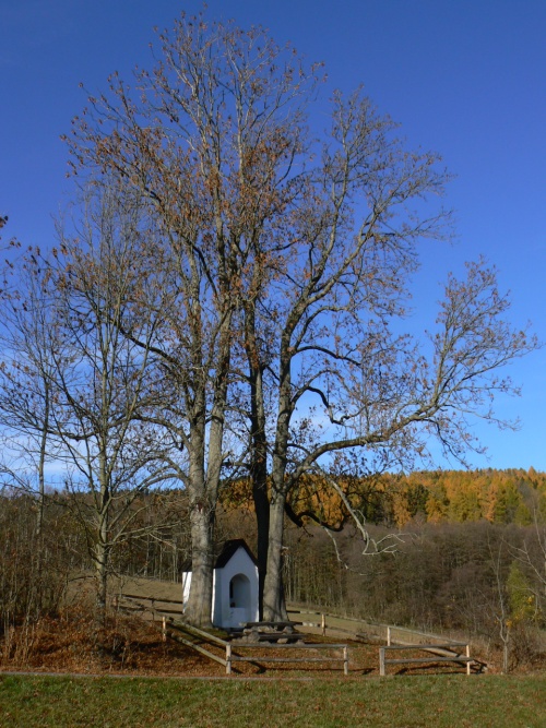 Kaplika nad Dolnm Dvorem