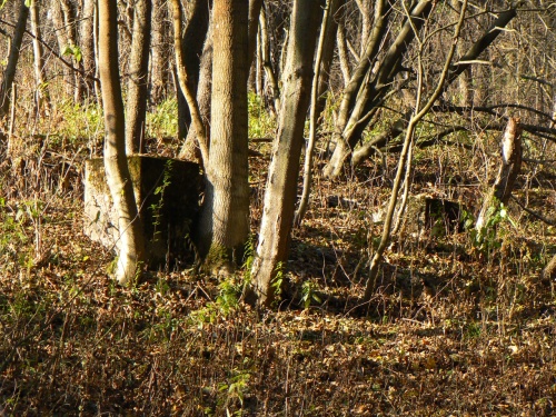Jeden z poslednch podstavc nkladn lanovky
