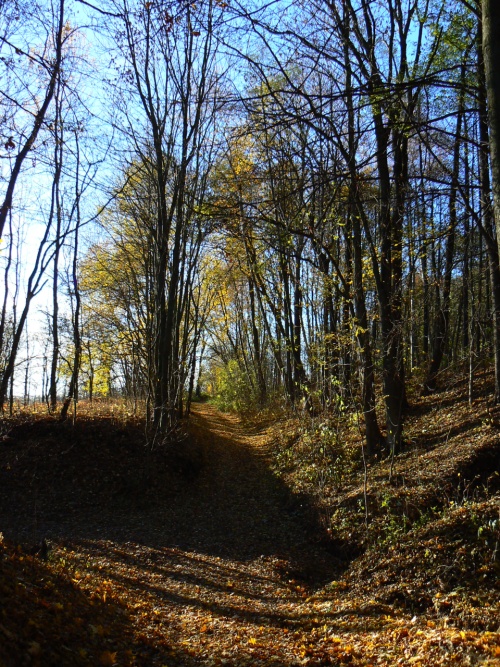 Star cesta do Vrchlab